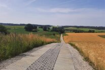 Entsiegelte landwirtschaftliche Straße zwischen Feldern